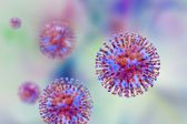 Hantavirus no es COVID-19: estas son las diferencias