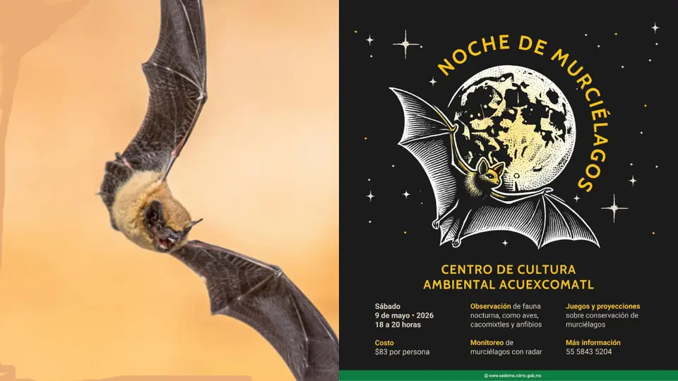 El evento será el próximo sábado 9 de mayo en el Centro de Cultura Ambiental Acuexcomatl / Especial