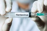 ¿Hay vacuna contra el hantavirus? Esto se sabe
