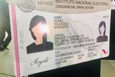 ¿Habrá nueva INE? TEPJF da luz verde a nuevo modelo