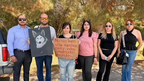 El caso de la husky ha generado una ola de apoyo en redes sociales bajo las consignas "Justicia para Sasha" y "Sasha con Vida"./ Norte Digital