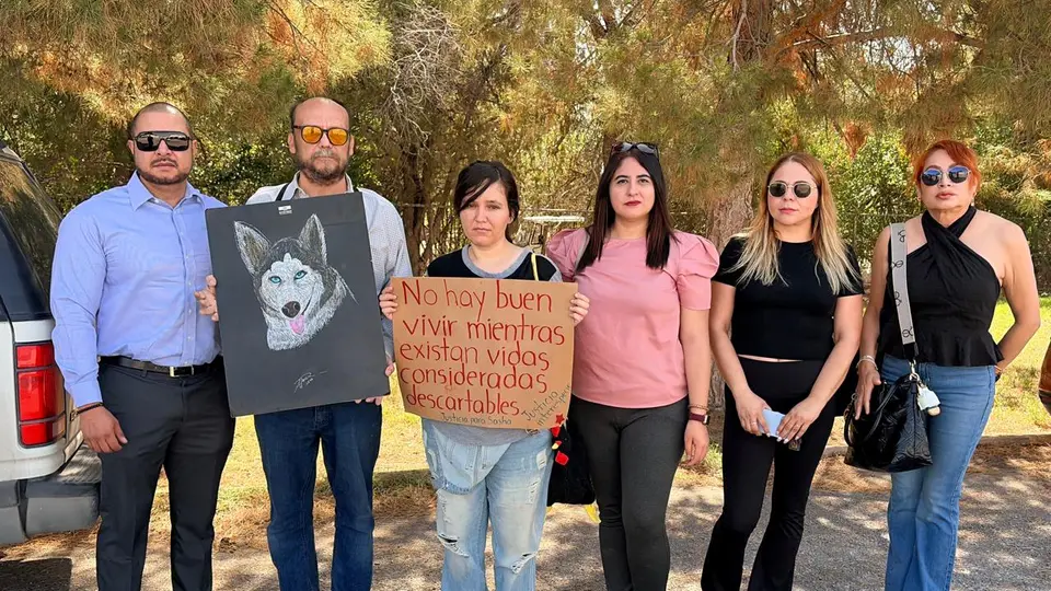 El caso de la husky ha generado una ola de apoyo en redes sociales bajo las consignas "Justicia para Sasha" y "Sasha con Vida"./ Norte Digital