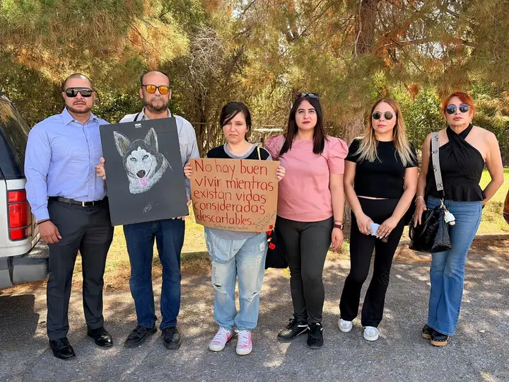 El caso de la husky ha generado una ola de apoyo en redes sociales bajo las consignas "Justicia para Sasha" y "Sasha con Vida"./ Norte Digital
