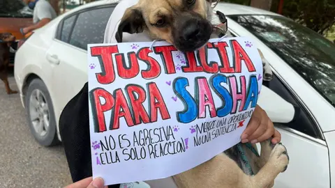 Colectivos animalistas se manifestaron para exigir que Sasha no sea sacrificada tras el incidente con el menor./ FB: Juárez Digital