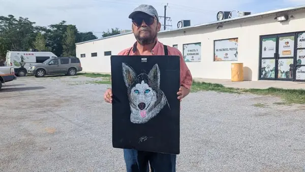 Piden justicia para Sasha, la husky que mordió a un niño en la Feria del Libro y podría ser sacrificada