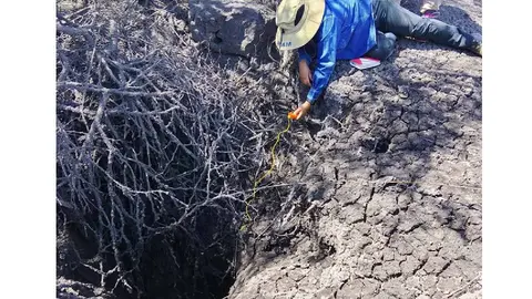 Durante los recorridos, los especialistas identificaron 11 pozas de lodo distribuidas en distintos puntos de El Salitre./ UNAM
