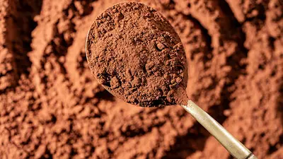 Día Mundial del Cacao impulsa a 45 mil familias y coloca a México entre los mayores productores