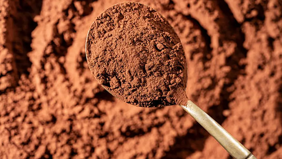 Día Mundial del Cacao impulsa a 45 mil familias y coloca a México entre los mayores productores