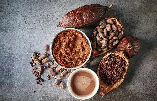 Tabasco y Chiapas concentran la mayor parte de la producción nacional de cacao./ Pixabay