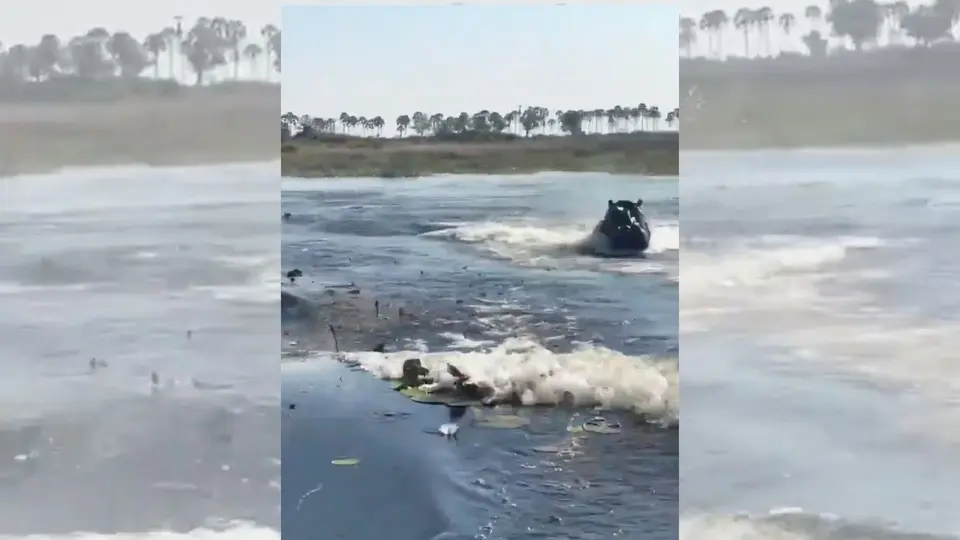 El impactante momento fue captado en video y rápidamente se viralizó en redes sociales / Especial