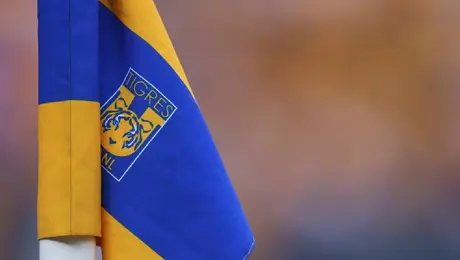 Video: Figura de Tigres sufre aparatosa lesión y termina en llanto