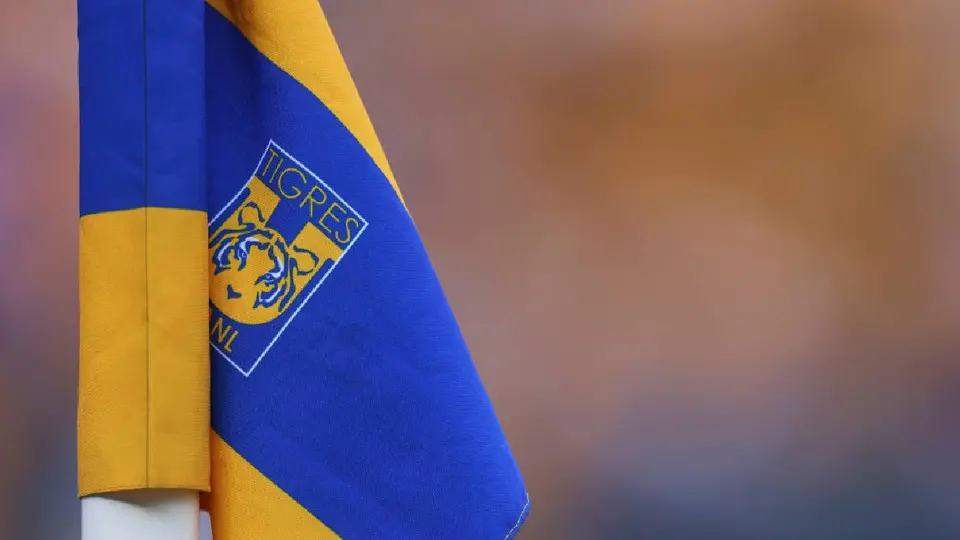 Video: Figura de Tigres sufre aparatosa lesión y termina en llanto