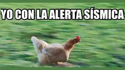 Llegan los memes… después del susto por el sismo de 5.7