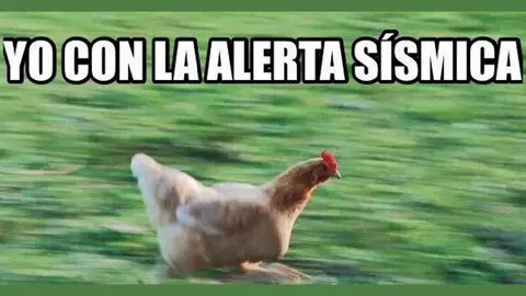 Llegan los memes… después del susto por el sismo de 5.7