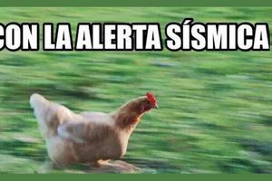 Llegan los memes… después del susto por el sismo de 5.7