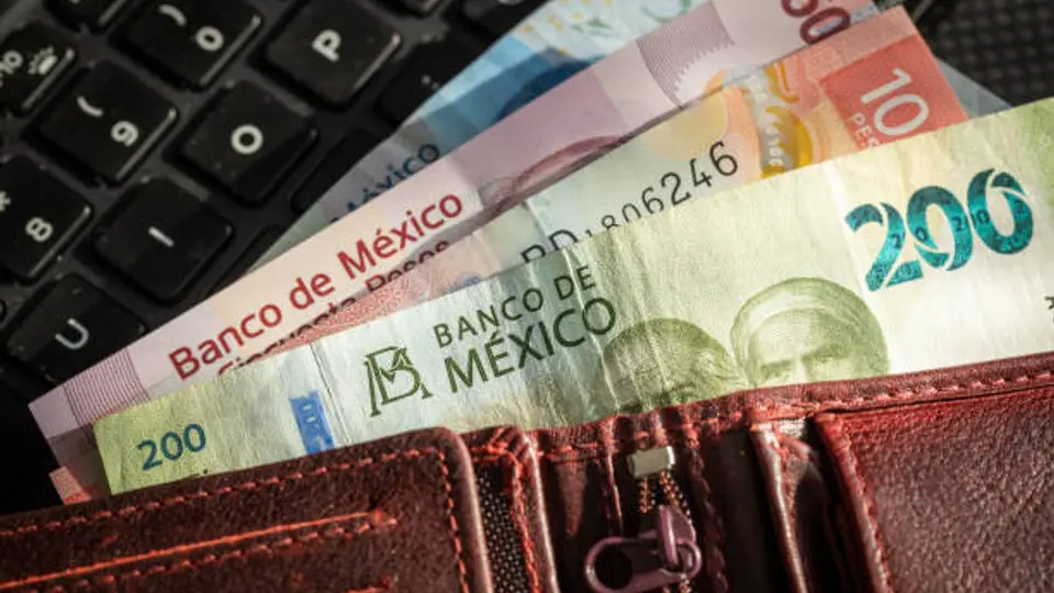 La LFT permite que el sueldo se establezca de forma mensual, diaria o por horas. / iStock