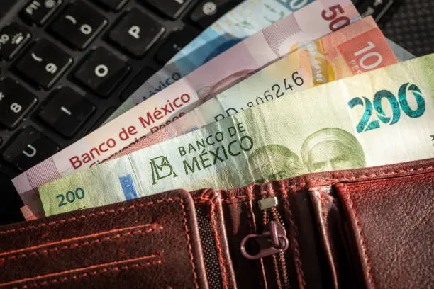 La LFT permite que el sueldo se establezca de forma mensual, diaria o por horas. / iStock