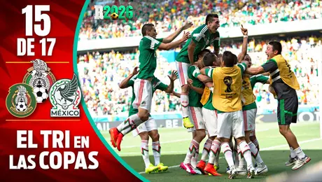 México en las Copas del Mundo: Brasil 2014, la Selección Mexicana de la ilusión
