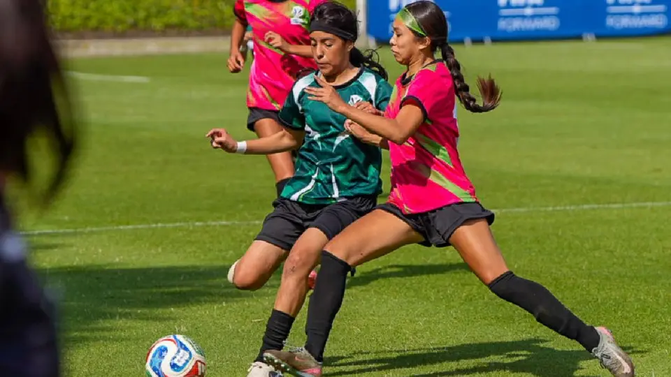 Ocho equipos Sub 14 y Sub 15 competirán en el torneo de la FMF | FMF