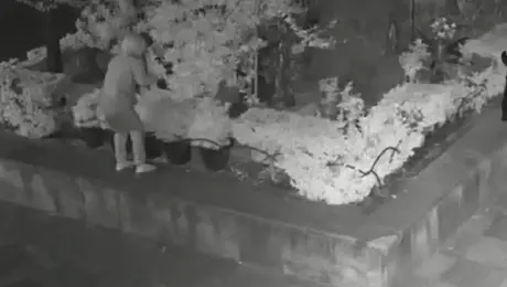 Capturan a presunto ladrón por robo de esculturas de bronce en iglesia de CDMX