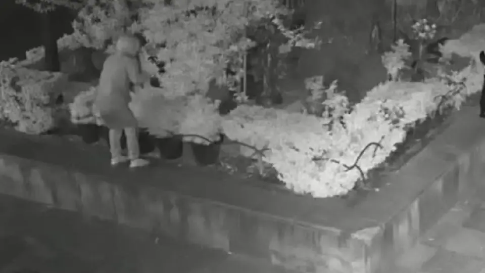 Capturan a presunto ladrón por robo de esculturas de bronce en iglesia de CDMX