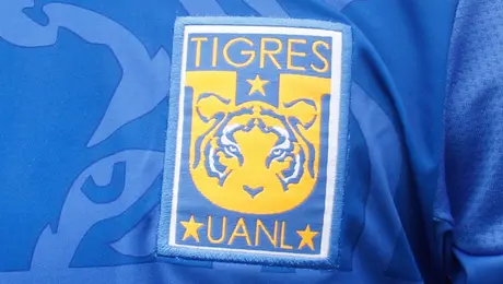 Figura de Tigres se pierde toda la temporada