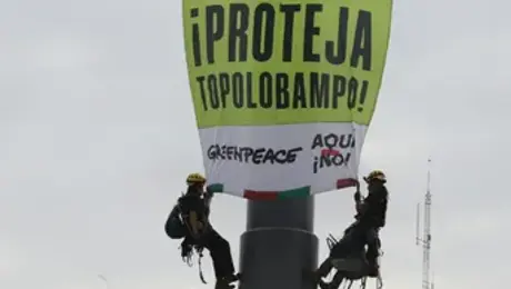 VIDEO: Activistas escalan asta bandera del Zócalo para exigir freno a megaplanta de amoniaco