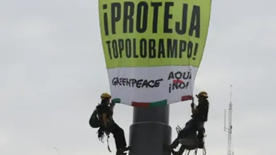 VIDEO: Activistas escalan asta bandera del Zócalo para exigir freno a megaplanta de amoniaco