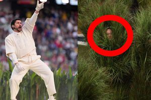 ¿Cuánto ganaron “los arbustos” que salieron en el medio tiempo de Bad Bunny?