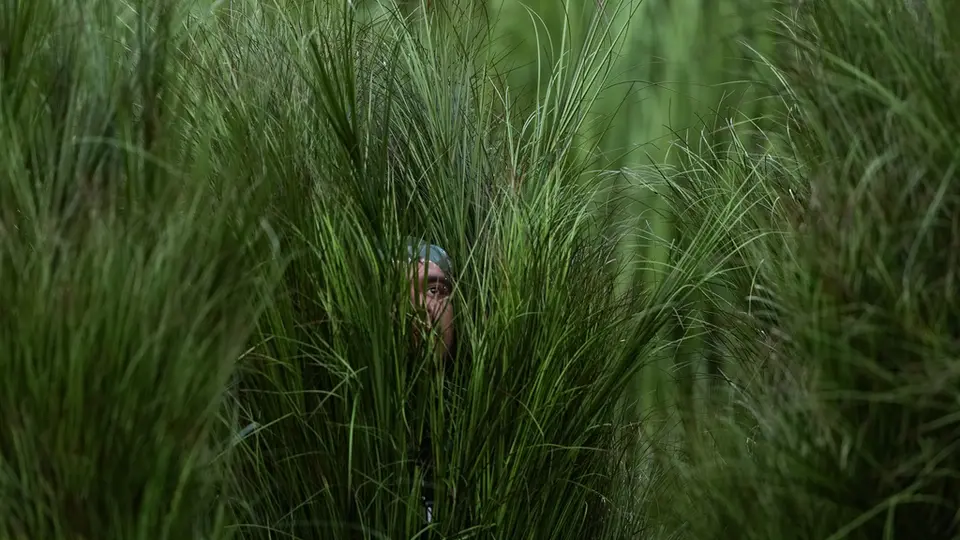Las plantas fueron personas disfrazadas para solucionar más rápido la escenografía / AP