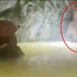 VIDEO: Momento del rescate del minero atrapado 14 días en mina de Sinaloa