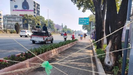 Ciclovía de Tlalpan ya casi está lista: esta es la fecha de estreno