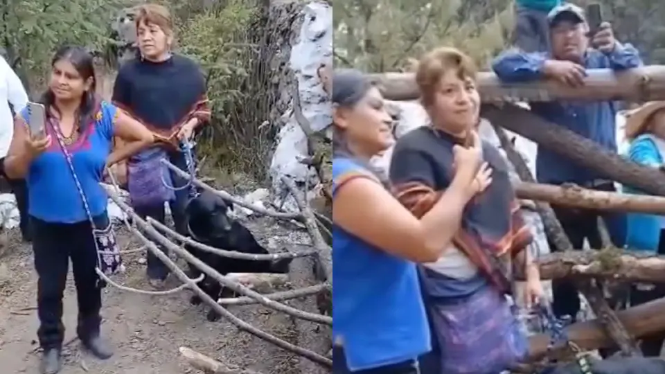 Las dos mujeres, según los pobladores, estaban realizando un ritual y metieron al perro a un manantial sagrado / Especial