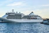 Hantavirus: OMS declara a pasajeros de crucero como ‘contactos de alto riesgo’
