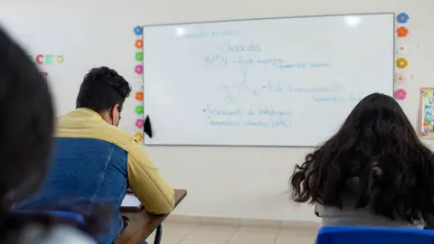 Padres y especialistas advirtieron que reducir semanas de clases podría afectar el aprendizaje de estudiantes. / iStock
