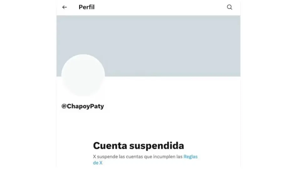 La cuenta de Pati Chapoy dejó de estar disponible en X, donde ahora solo aparece el aviso de que el perfil fue suspendido. / X
