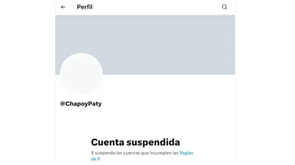 La cuenta de Pati Chapoy dejó de estar disponible en X, donde ahora solo aparece el aviso de que el perfil fue suspendido. / X