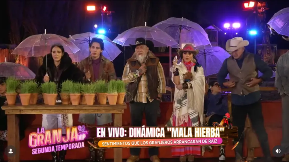 Los participantes durante la dinámica "Mala hierba" en La Granja VIP.