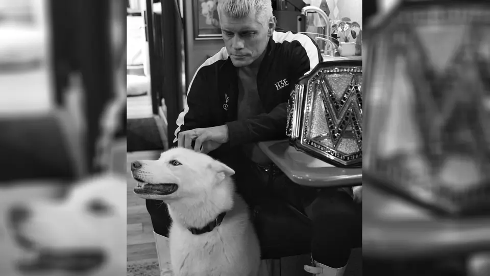 Cody y su querido amigo canino | americannightmarecody