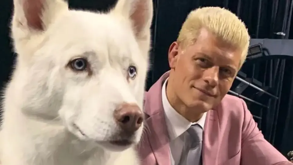 Cody Rhodes y su mascota Pharaoh | americannightmarecody