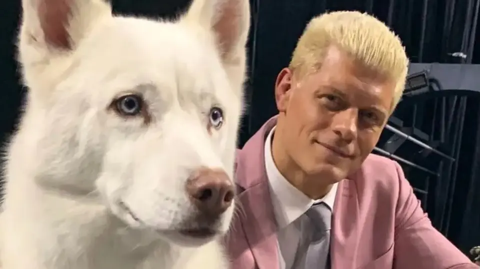 Cody Rhodes y su mascota Pharaoh | americannightmarecody