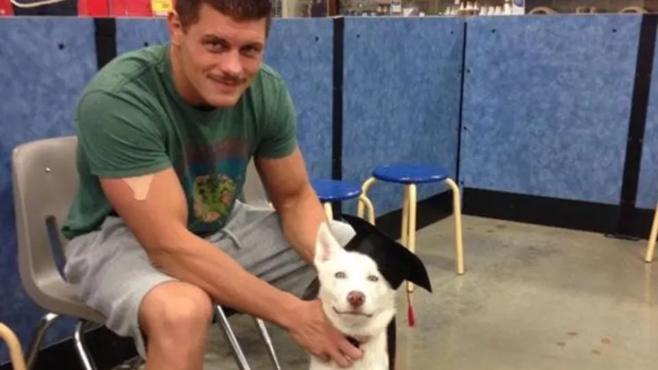 Cody Rhodes y su perro cuando era cachorro | americannightmarecody