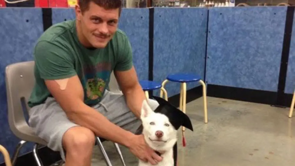 Cody Rhodes y su perro cuando era cachorro | americannightmarecody
