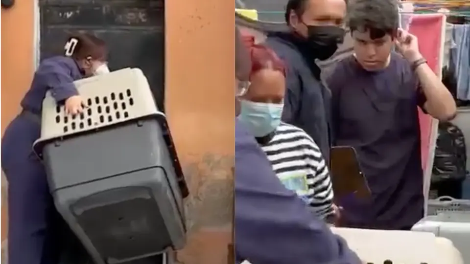 Los animales fueron localizados en condiciones de abandono y hacinamiento dentro de un inmueble en la alcaldía Iztapalapa / Especial
