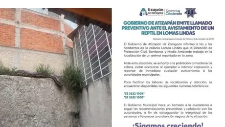 Serpiente suelta en Atizapán: alertan por reptil y piden extremar precauciones