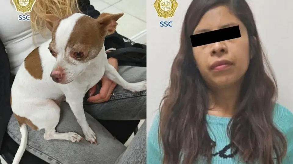 La presunta responsable quedó a disposición del Ministerio Público. / SSC