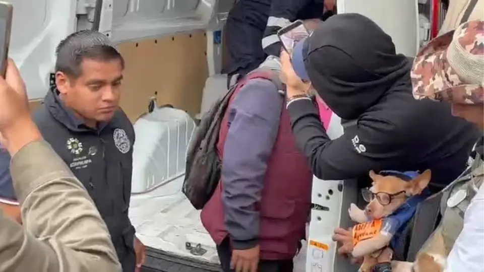 Perros y gatos fueron rescatados de un inmueble donde vivían en condiciones inadecuadas / Redes Sociales
