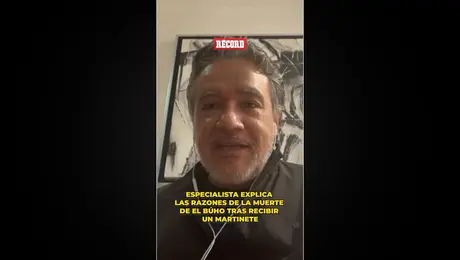 ¿Cuáles pudieron ser las causas del fallecimiento de 'El Búho'?