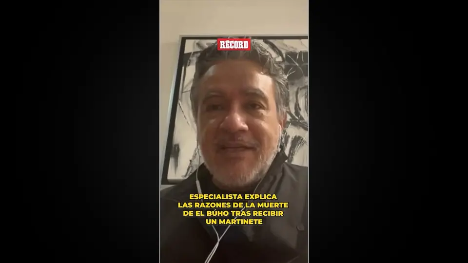 ¿Cuáles pudieron ser las causas del fallecimiento de 'El Búho'?