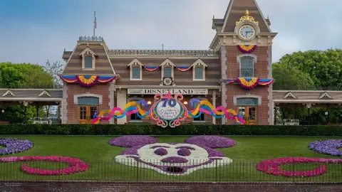 Varios trabajadores presentaron síntomas de intoxicación en una zona restringida para el público / FB: @Disneyland